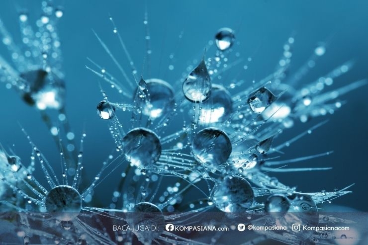Senyum Cerah di Jantung Cilacap: Rahasia Kesehatan Gigi yang Tak Terlupakan
